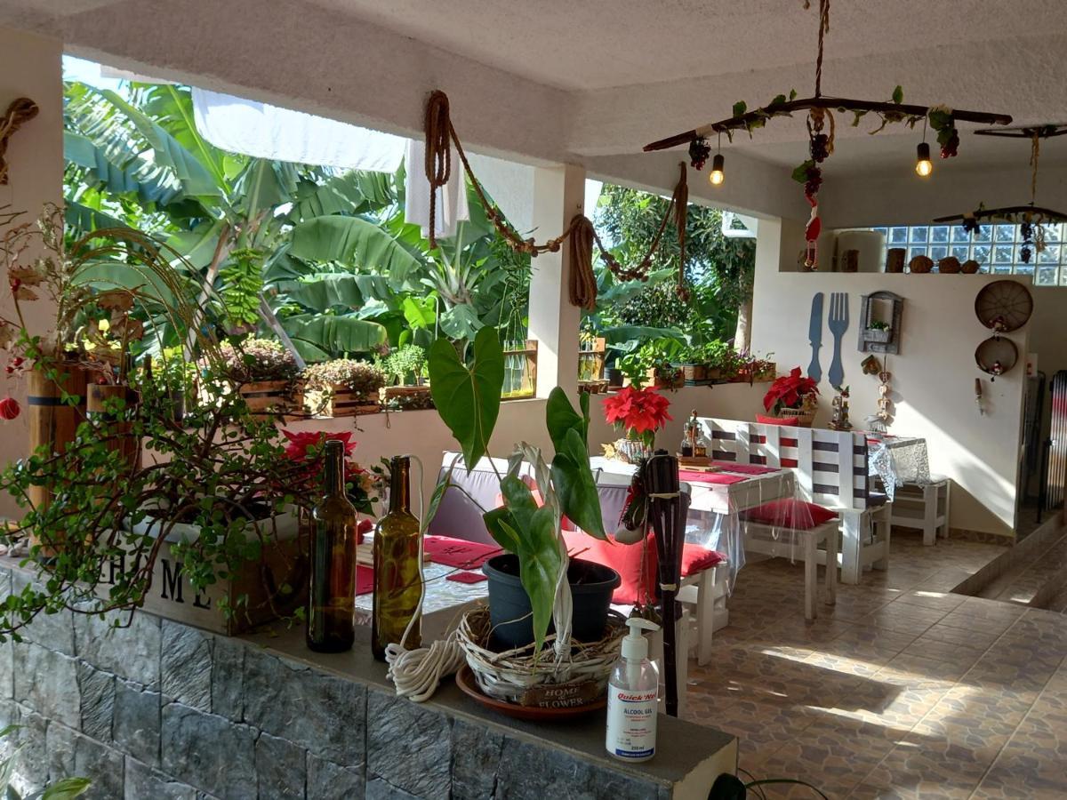 Tabua Village Ribeira Brava Extérieur photo